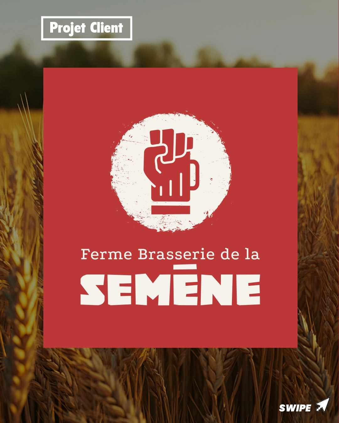 marque de liqueur, création logo et identité visuelle